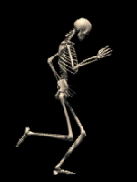 bones