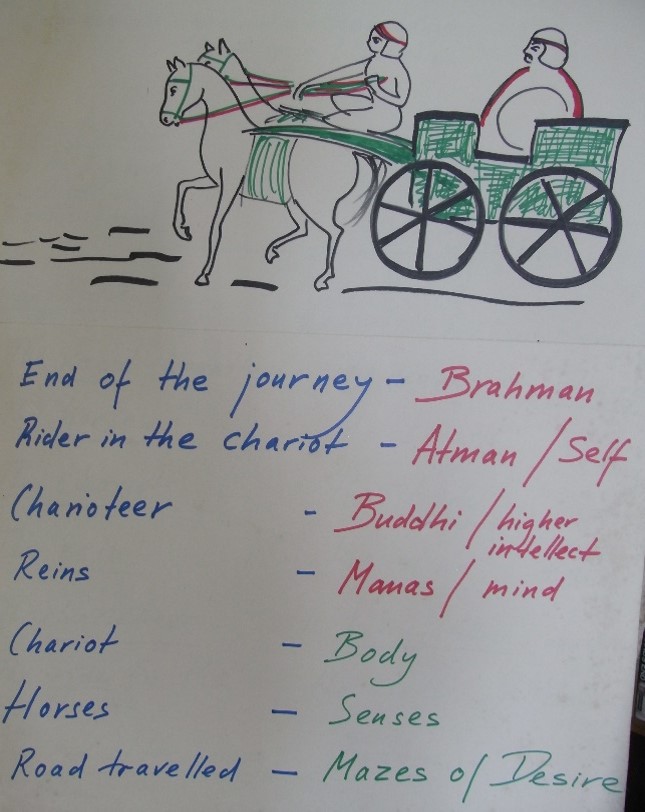 Text, whiteboard  Description automatically generated